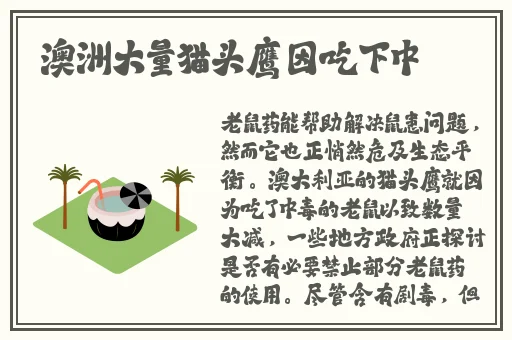 春天app是干嘛的